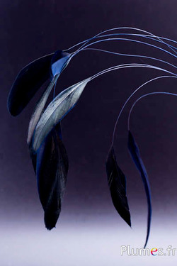 Coquetip - 28-32 cm - blu notte-nero